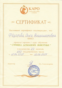 Сертификат 7
