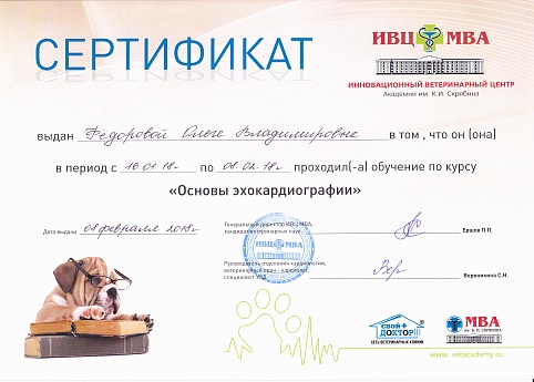 Сертификат 13
